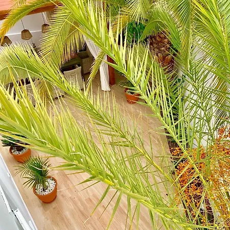 Panoramic Del Atlantico *