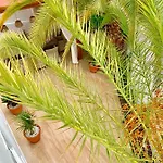 Panoramic Del Atlantico *