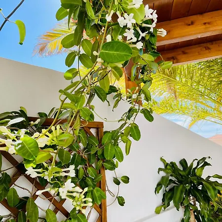 Panoramic Del Atlantico Villa Costa Adeje