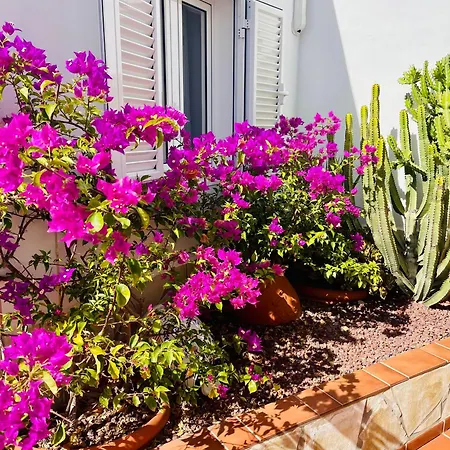 Panoramic Del Atlantico فيلة