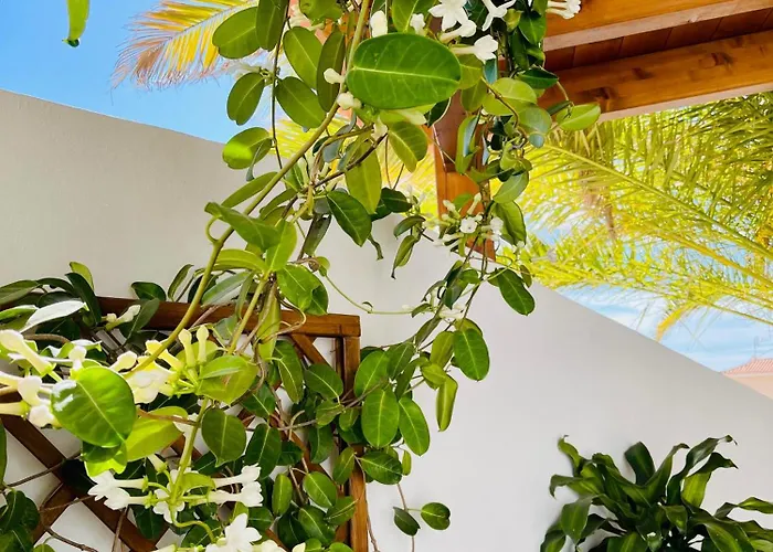 Panoramic Del Atlantico 빌라 아데제