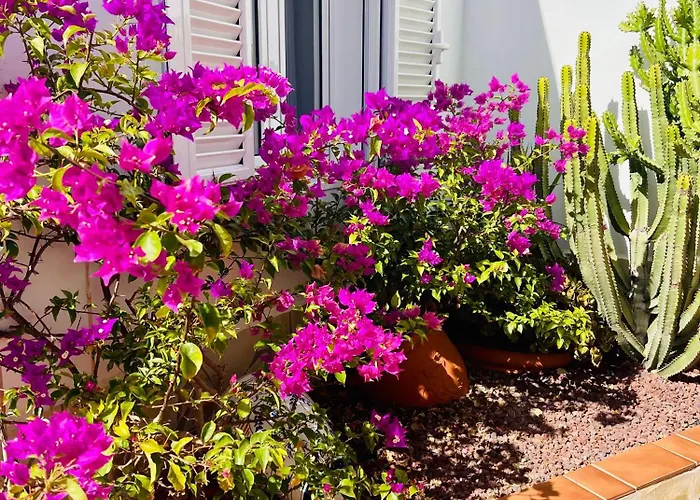 Panoramic Del Atlantico Βίλα